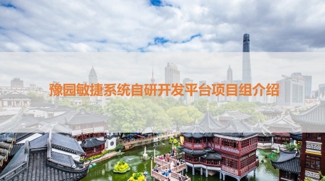 豫园敏捷系统自研开发平台项目组介绍
